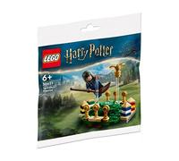 LEGO® Harry Potter 30651 L entraînement de Quidditch