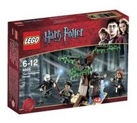 LEGO® Harry Potter 4865 La foret interdite G