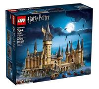 71043 Le ch teau de Poudlard , LEGO Harry Potter Marron Lego Marron Taille unique