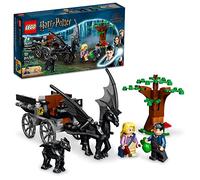LEGO Harry Potter 76400 Harry Potter Hogwarts Kutsche mit Thestralen 76400