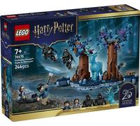 LEGO® Harry Potter™ 76475 La Forêt interdite : Expecto Patronum