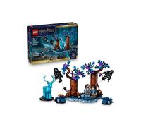 LEGO Harry Potter 76475 La Forêt interdite Expecto Patronum 244 pièces Noir et multicolore