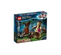 LEGO Harry Potter Forbidden Forest: Umbridge’s Encounter 75967 Magical Forbidden Forest Toy from Harry Potter and The Order of The Phoenix, New 2020 (253 Pieces)