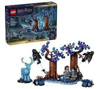 LEGO Harry Potter Forêt Interdite : Expecto Patronum, Jouets de construction