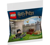 LECON DE QUIDDITCH HPOTTER Lego LEG30706