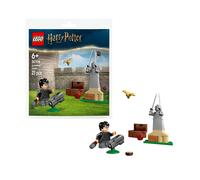 LEGO Harry Potter Leçon De Quidditch Polybag 30706