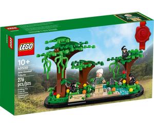 LEGO - Hommage à Jane Goodall - 40530