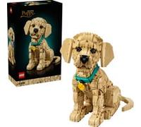LEGO Icônes chiot Golden Retriever, Jouets de construction