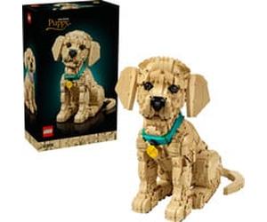 LEGO Icônes chiot Golden Retriever, Jouets de construction