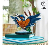 LEGO Icons 10331 Le Martin-pecheur, Kit de Maquette pour Adultes, Idée Cadeau de Décoration Maison ou Bureau