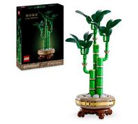 LEGO Icons 10344 Collection Botanique Bambou Porte-Bonheur