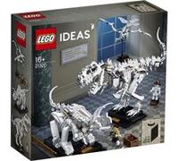 LEGO Ideas 21320 - Les fossiles de dinosaures G