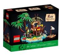 LEGO Kit de construction Ray le naufragé (40566) Ideas 2022 Multicolore