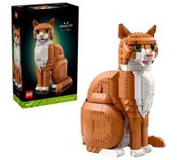 Le chat roux