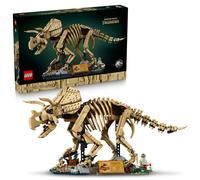 Les fossiles de dinosaure: le tricératops