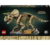 Les fossiles de dinosaure: le tricératops