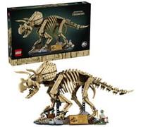 Les fossiles de dinosaure: le tricératops