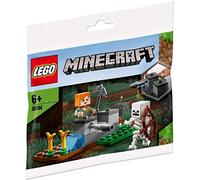 LEGO Minecraft 30394 – Le Squelette Défense