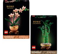 Lego Mini orchidée et bambou porte-bonheur : Lego Flowers Novelties Combi - Deux icônes plantes comme décoration de chambre, collection botanique, fleur d'orchidée pour adultes (10343, 10344)