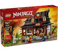 LEGO 71854, Jouets de construction