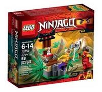 LEGO® Ninjago™ 70752 Le Piège dans la Jungle G