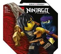 LEGO NINJAGO 71733 Cole contre le guerrier fantôme