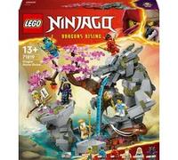 LEGO NINJAGO - Le sanctuaire de la roche du dragon - 71819