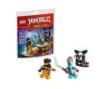 LEGO Ninjago Arin Contre Dragonian Battle Polybag / Sac En Papier Ensemble 30700