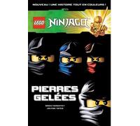 LEGO NINJAGO BD 5 PIERRES GELEES