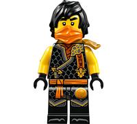 LEGO Ninjago : Cole (Dragons Rising, S2)