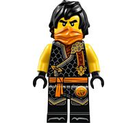 LEGO Ninjago : Cole (Dragons Rising S2)