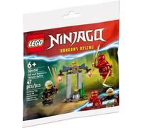 LEGO NINJAGO Combat Du Temple De Kai Et Rapton Ensemble Polybag 30650