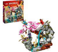 LEGO NINJAGO Temple de pierres de dragon Jouet de dragon avec 6 figures de ninja, grand set pour construire, jouer et exposer, cadeau d'anniversaire pour garçons et filles à partir de 13 ans 71819