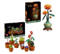 LEGO Pack Plantes Exotiques - Sets pour Adultes Les Plantes Miniatures (10329) & Le chrysanthème (10368) - Cadeau de St Valentin pour Elle et Lui - Décoration de Plantes artificielles pour la Maison