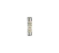 Legrand 012002 Type M Cartouche Industrielle Cylindrique sans Voyant, 8.5mmx32mm, 2A