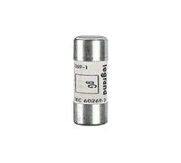 Legrand 013301 Type G Cartouche Industrielle Cylindrique sans Voyant, 10mmx38mm, 1A