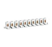 Legrand - barrette de 10 bornes séparables avec capacité par borne 2x10mm² et pas 19,5mm