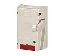 Legrand 038050 Coffret Coupure pour Enseigne Lumineuse Inter Pompier Bipolaire, 26A, 250V, Équipé d'un Voyant