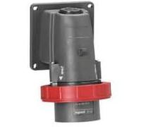 Legrand 053091 Plastique Fiche Inclinée Fixe Hypra, 380V à 415V, 3P+N+T