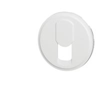 Legrand 068237 Enjoliveur Céliane pour Prise Téléphone pour Réseau Mixte, Basique et Blanc 1 unité