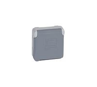 Legrand 069553 Prise de Courant Étanche 2P+T à Détrompage Plexo Composable IP55, 16A, 250V, Gris
