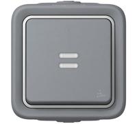 POUSSOIR LUMINEUX GRIS SAILLIE PLEXO LEGRAND 069722