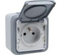 Legrand 069731 Prise Étanche 2P+T avec Éclips de Protection, Plexo Complet Saillie, 16A, Gris