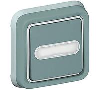 Legrand 069824 Poussoir Inverseur Étanche No, Nf Lumineux avec Porte-étiquette, Plexo Complet Encastré, 10A, Gris