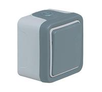 Legrand 069855 Double Interrupteur ou va-et-vient Étanche Plexo, Complet Encastré, 10AX, 250V, Blanc