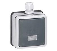 Legrand 090460 Interrupteur ou Va-et-vient Étanche à Voyant Plexo, IP66, 10A, 250V, Gris