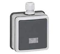 Legrand 090462 Poussoir Étanche NO+NF à Voyant Plexo, IP66, 6A, 250V, Gris
