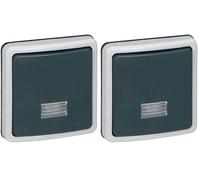 Legrand 090480 Interrupteur ou Va-et-vient Étanche à Voyant Plexo, 10A, IP66, Gris (Lot de 2)