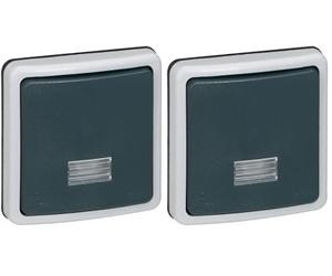 Legrand 090480 Interrupteur ou Va-et-vient Étanche à Voyant Plexo, 10A, IP66, Gris (Lot de 2)