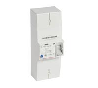 Legrand Disjoncteur de branchement Enedis 401005 Bipolaire Différentiel 500 mA Sélectif 90 A